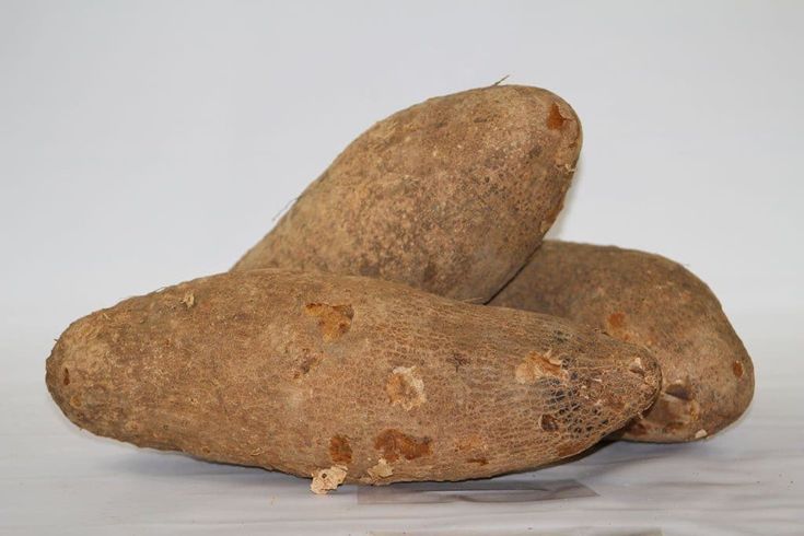 columbian yam white yam or name root, caribbean root vegetable 1 lb