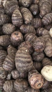 Cocoyam 169x300