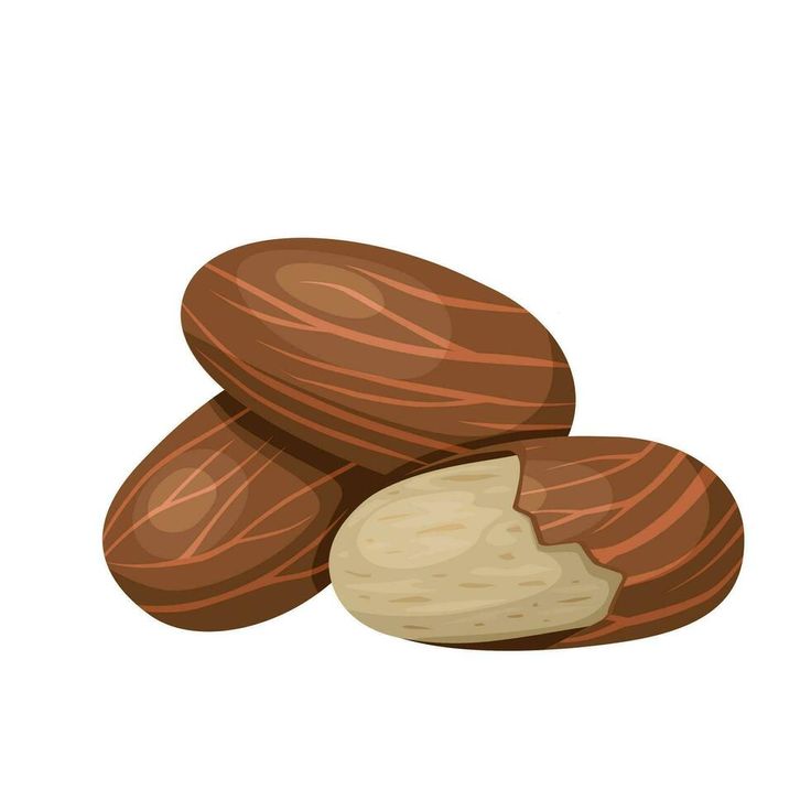 Garcinia Kola Or Bitter Kola Isolated On White Background